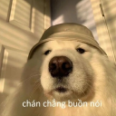 juszwwm