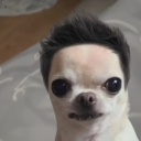 martinooo