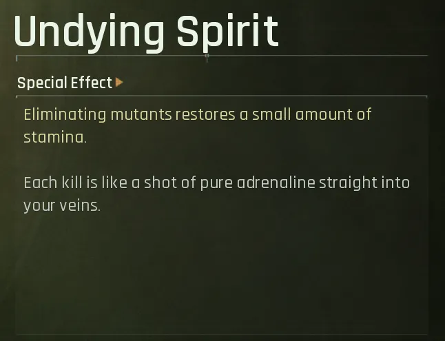Undying Spirit