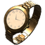 Gold Watch