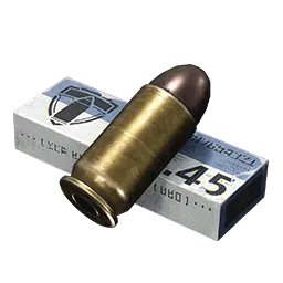 .45 FMJ