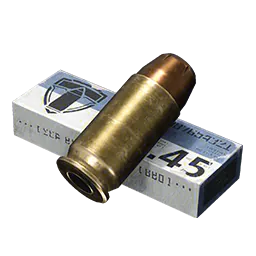 .45 HS