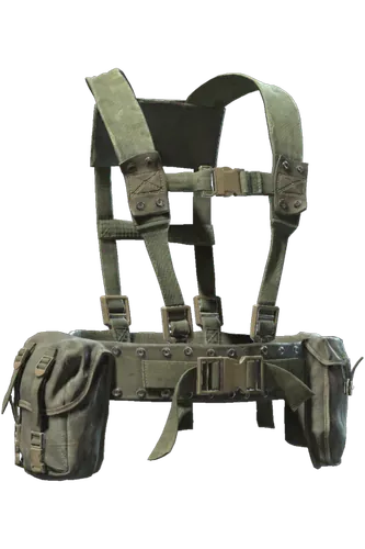 ALS Carry Rig