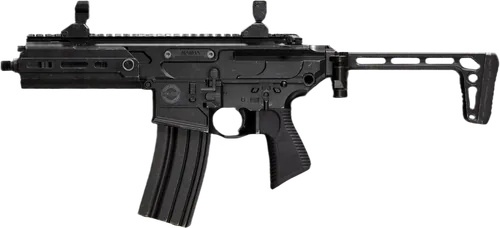 MCX Assault Rifle